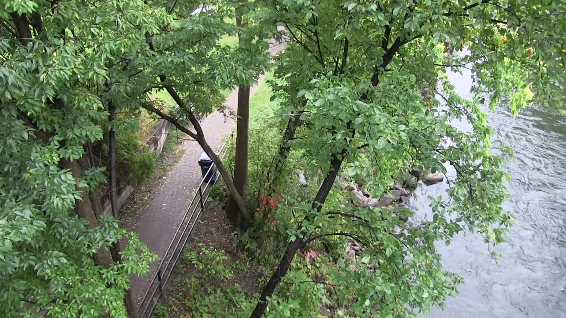 Thumbnail image for Perils For Pedestrians