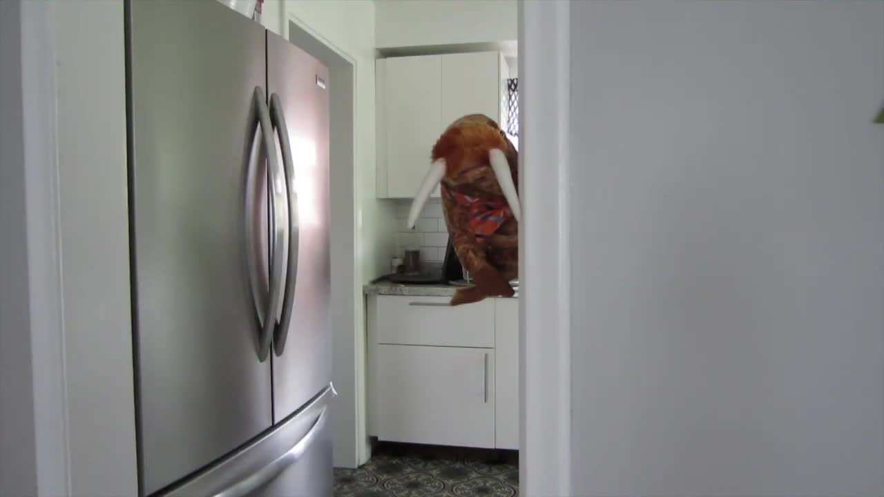 Thumbnail image for The Saturday Show