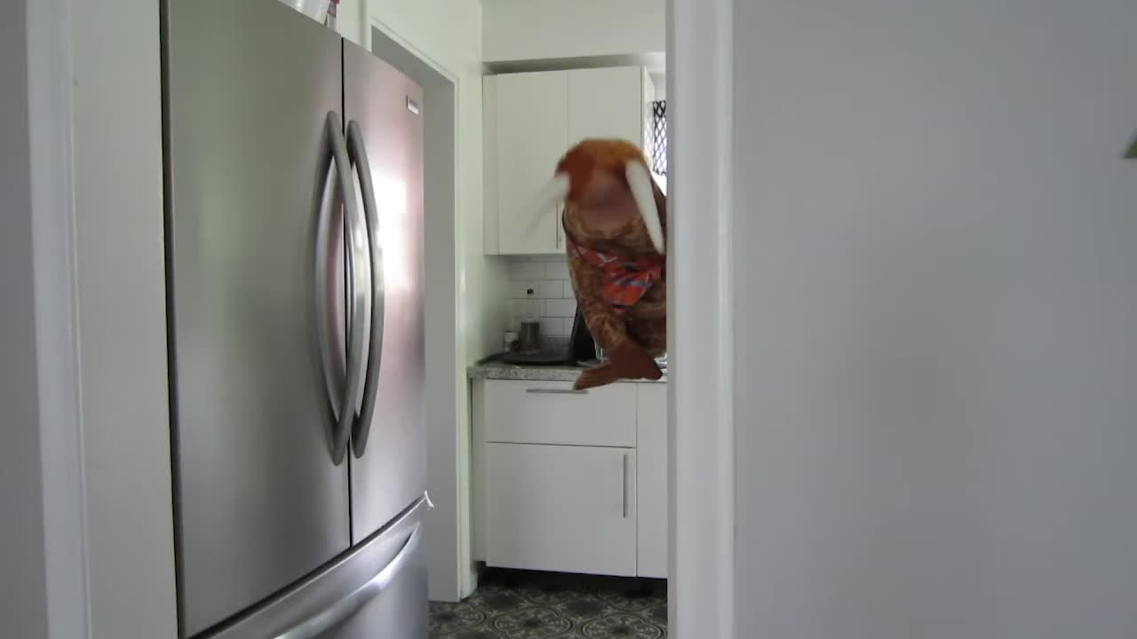 Thumbnail image for The Saturday Show