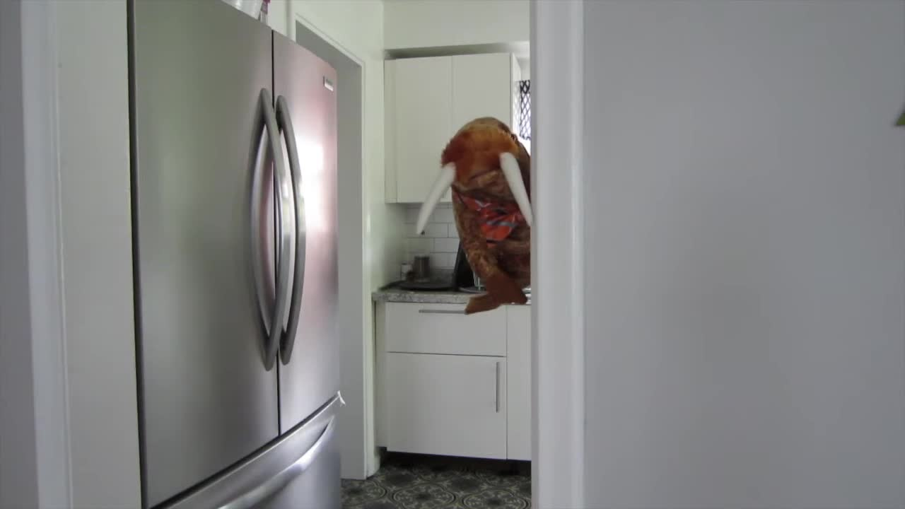 Thumbnail image for The Saturday Show