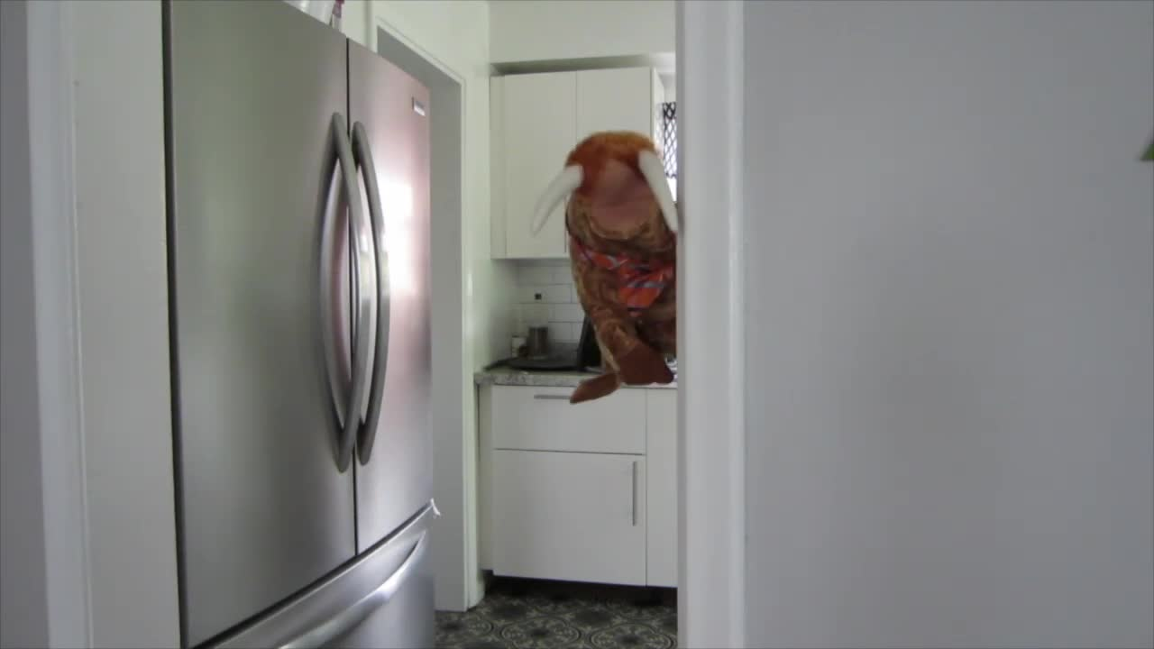 Thumbnail image for The Saturday Show