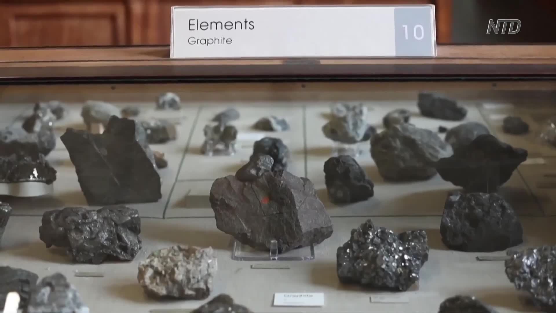 Thumbnail image for NTD Programs