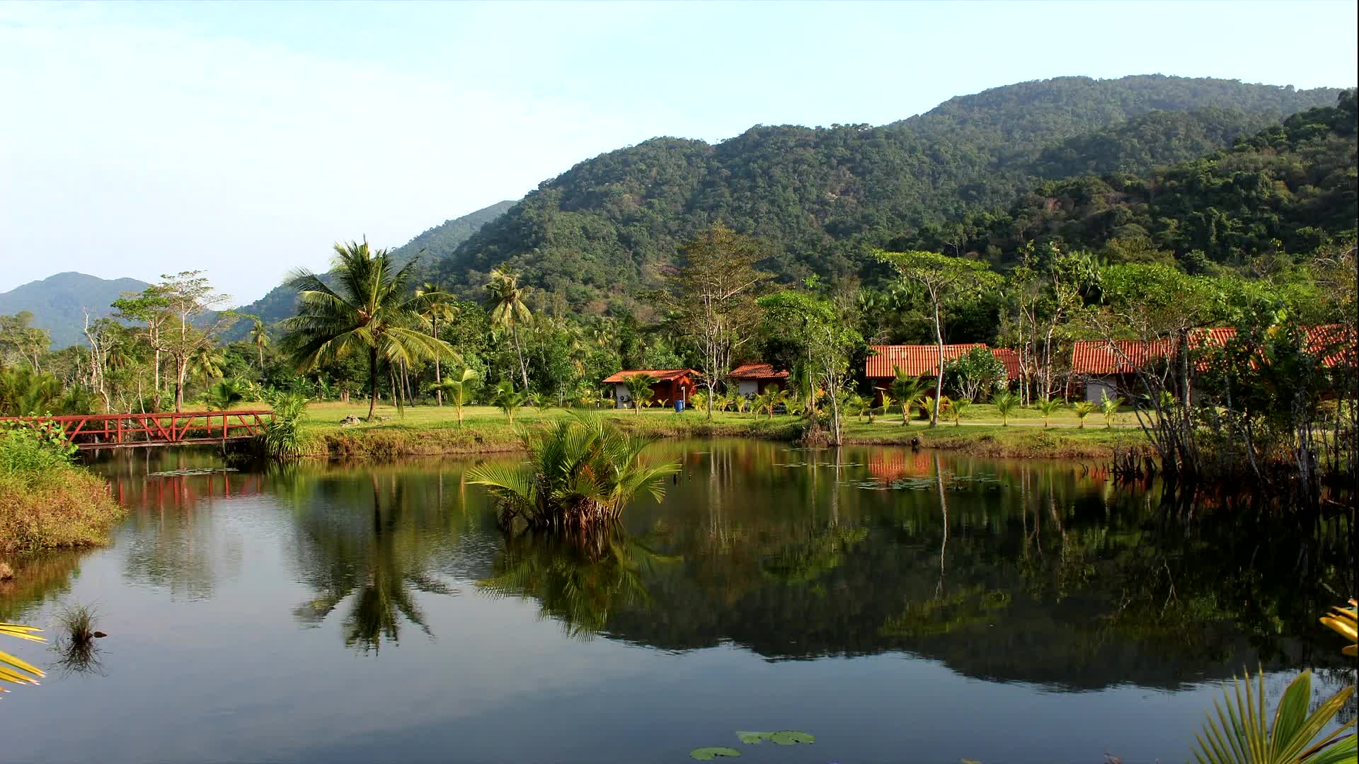 Thumbnail image for Ask Grandma Carol