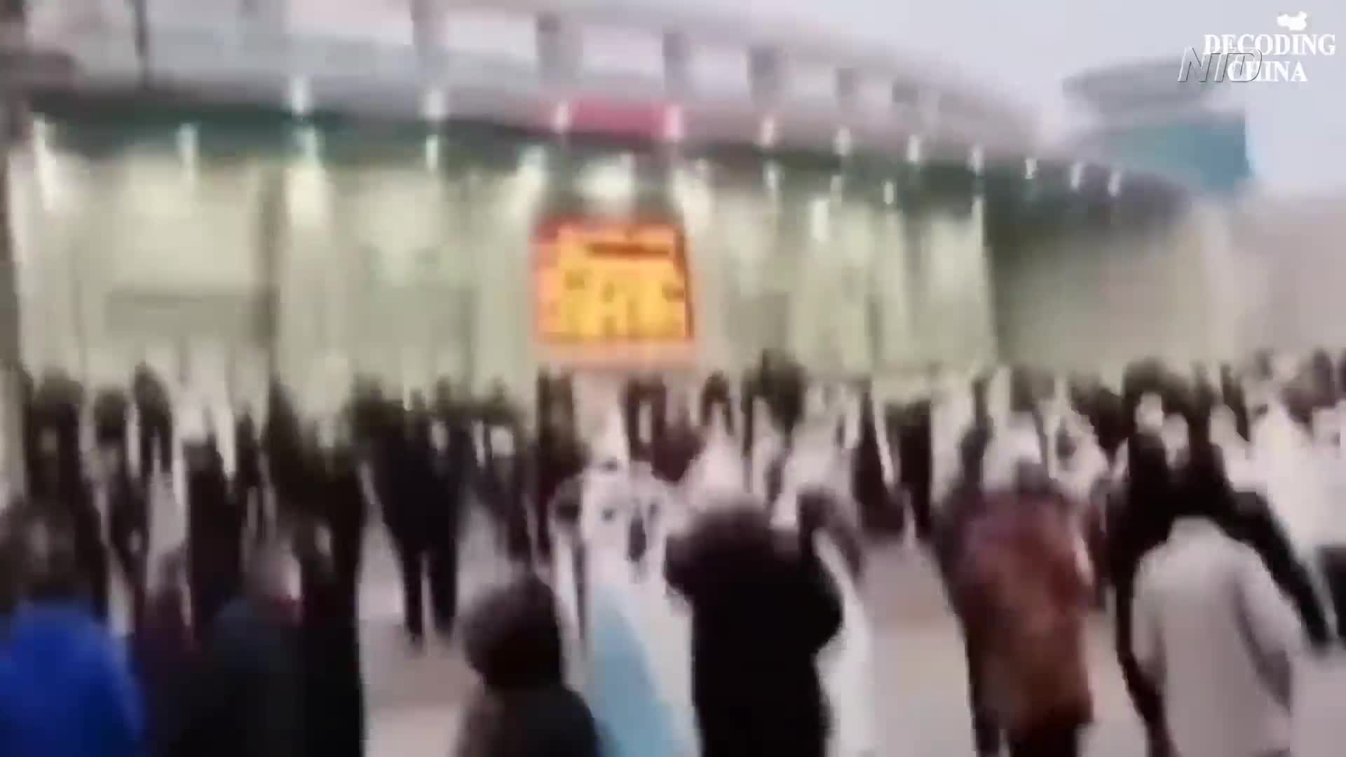 Thumbnail image for NTD Programs