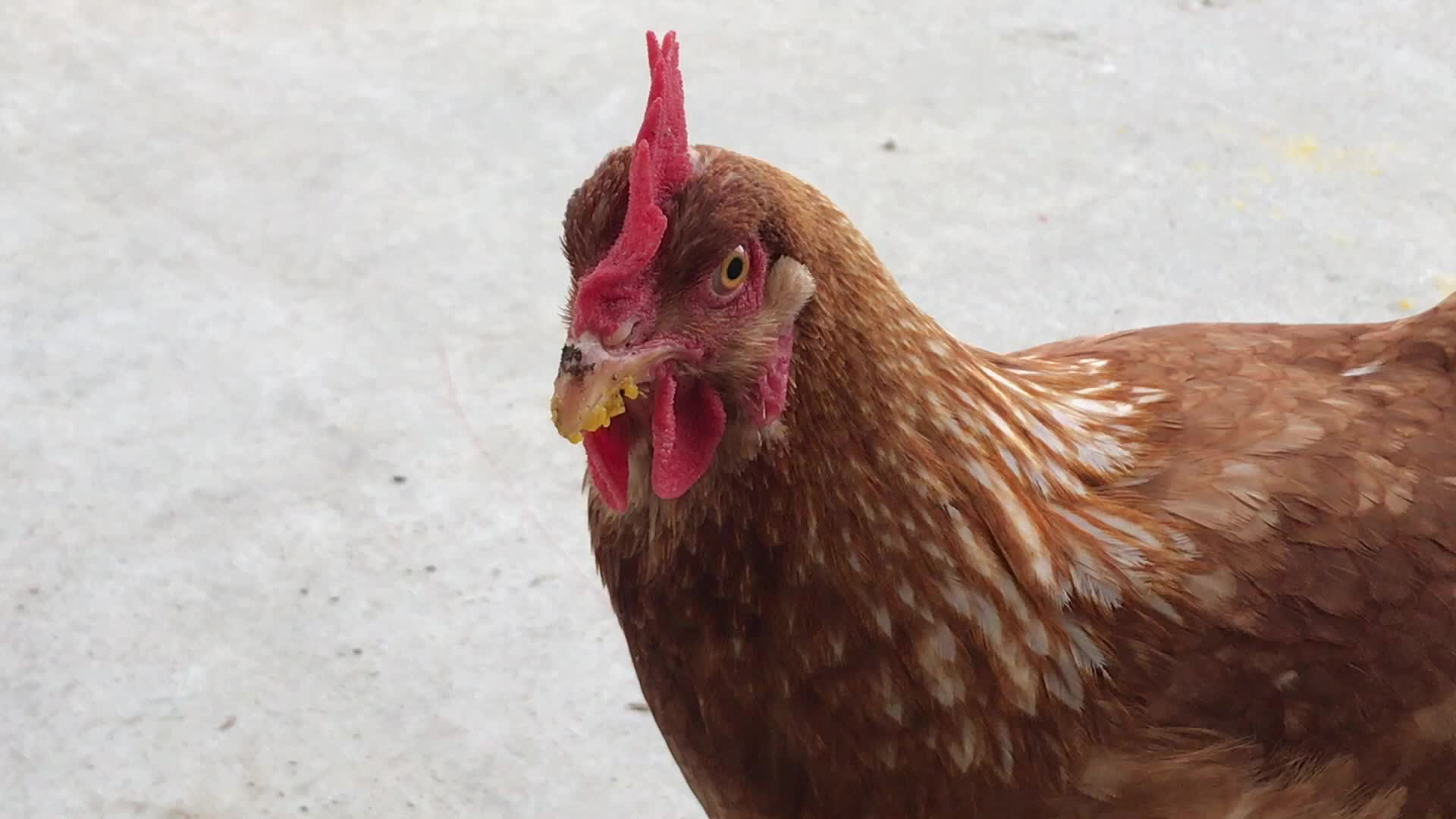 Thumbnail image for Cooking and Kids