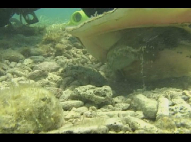 Thumbnail image for Your Sanctuary