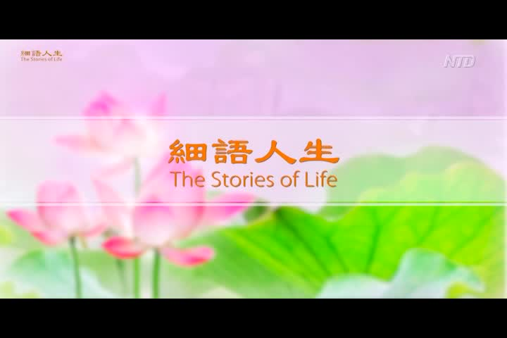 Thumbnail image for Chinese News and Programs