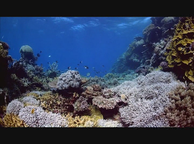 Thumbnail image for Your Sanctuary