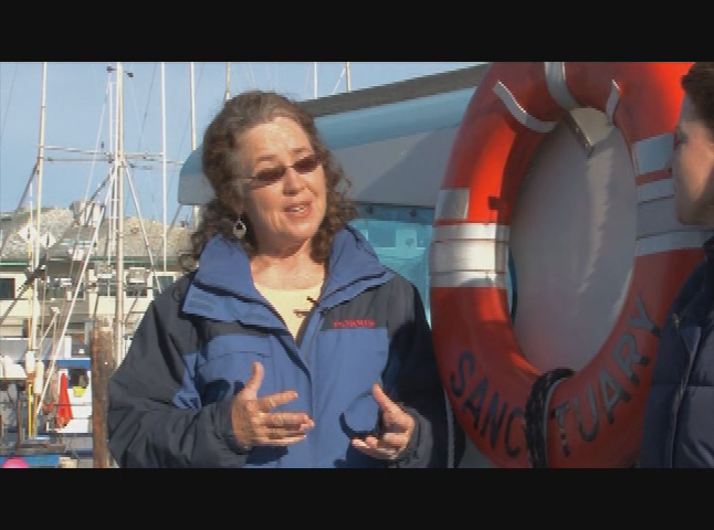 Thumbnail image for Your Sanctuary