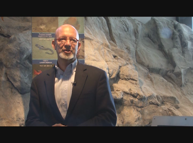 Thumbnail image for Your Sanctuary