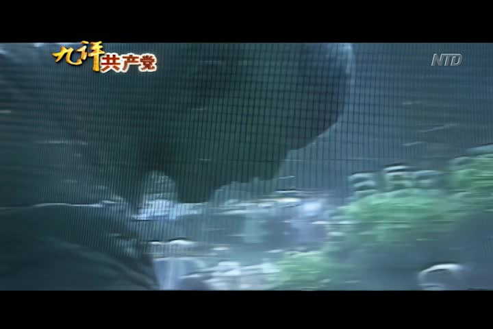 Thumbnail image for Epoch News and Programs