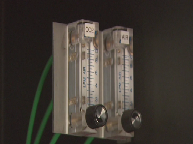 Thumbnail image for Plugged In