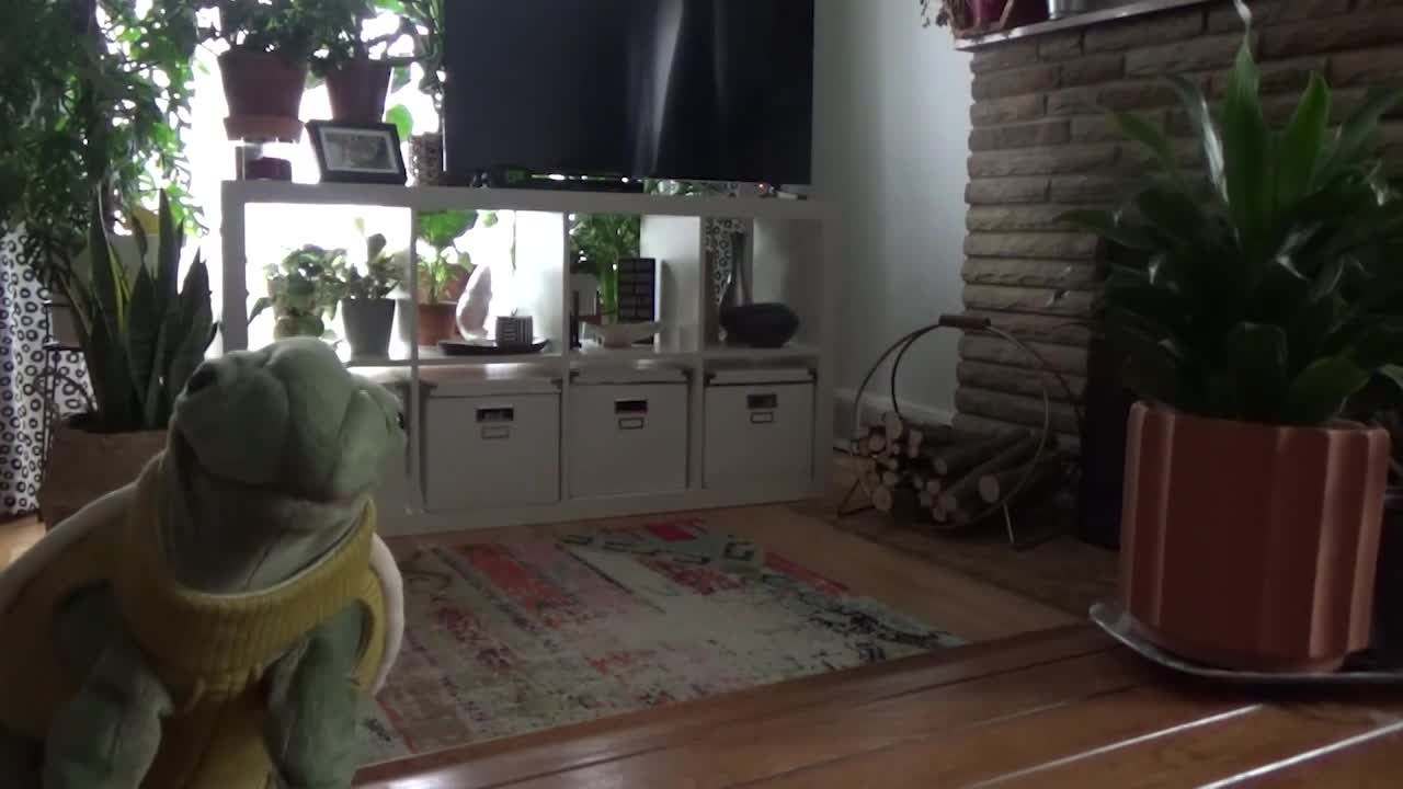 Thumbnail image for The Saturday Show