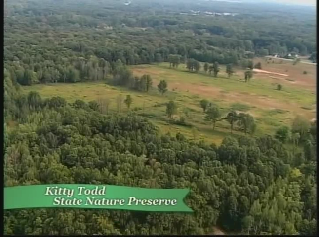 Thumbnail image for Toledo Stories