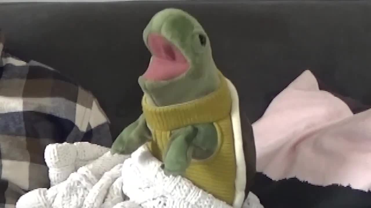 Thumbnail image for The Saturday Show