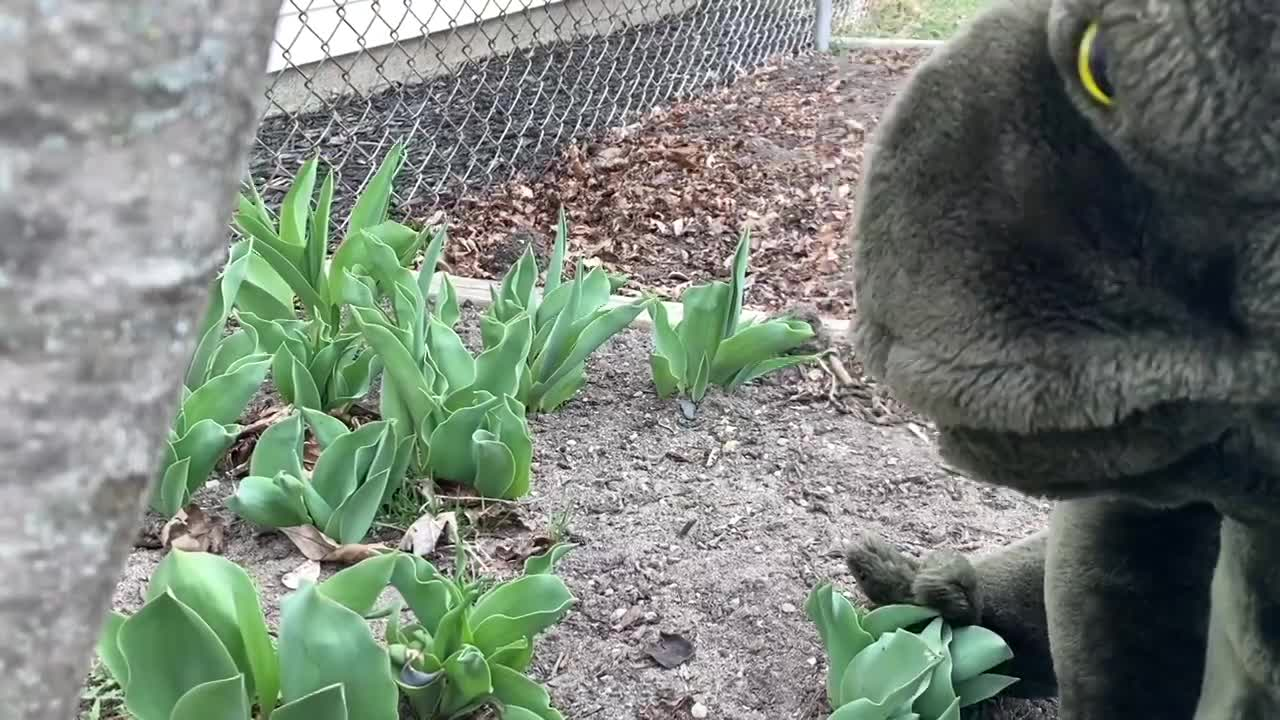 Thumbnail image for The Saturday Show