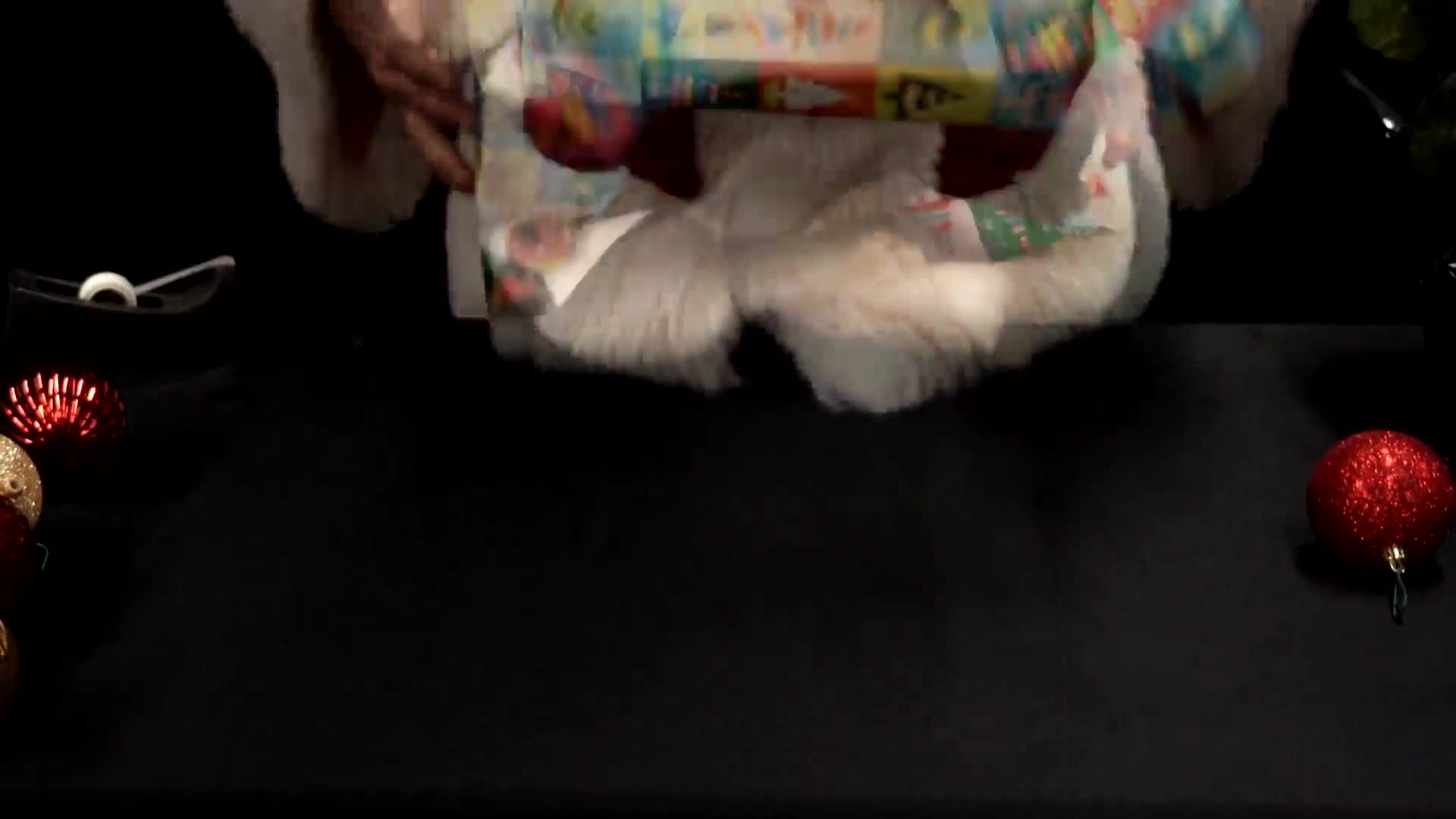 Thumbnail image for Santa Satellite Network 2019