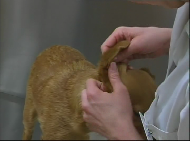 Thumbnail image for SciEngiMathePloration