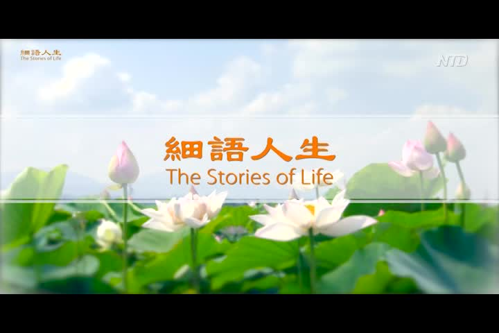 Thumbnail image for Chinese News and Programs
