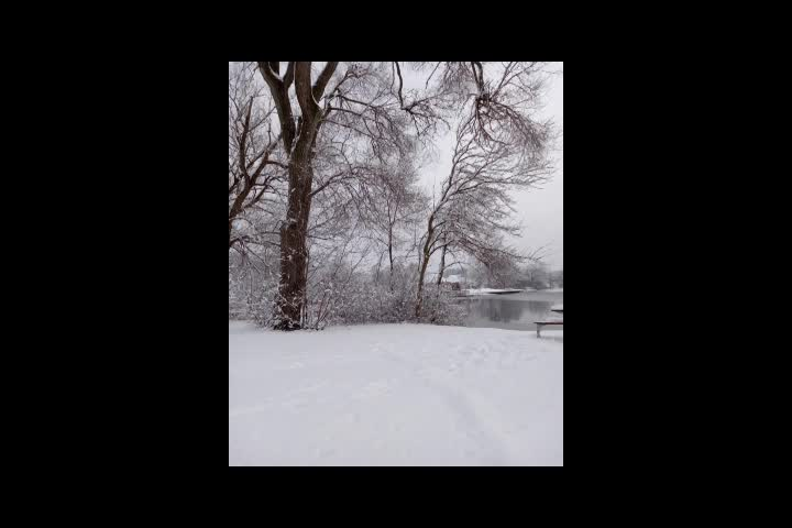 Thumbnail image for Forgiveness Is Letting Go