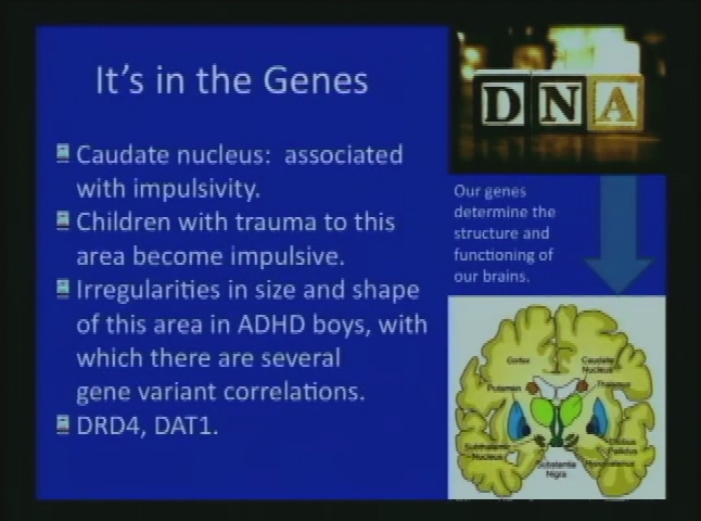 Thumbnail image for AADL Presents