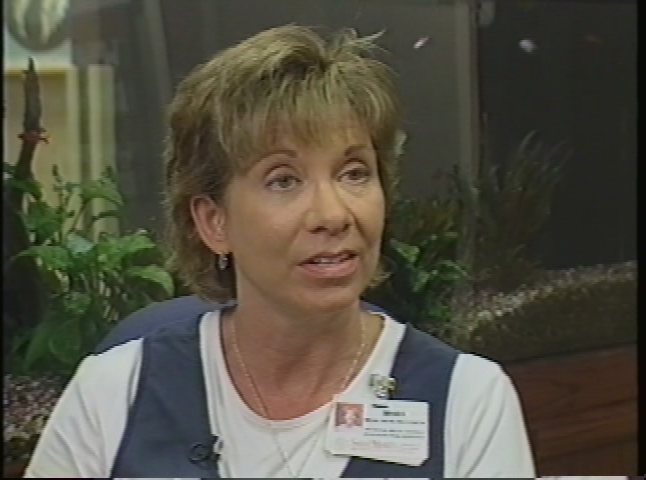 Thumbnail image for Successful Aging